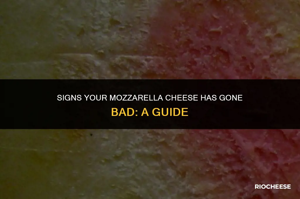 how can you tell if mozzarella cheese is bad