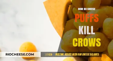 The Lethal Snack: How Cheese Puffs Pose a Deadly Threat to Crows