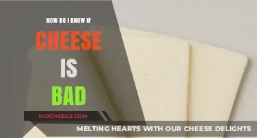 The Ultimate Guide to Checking Cheese Freshness: Tips and Tricks