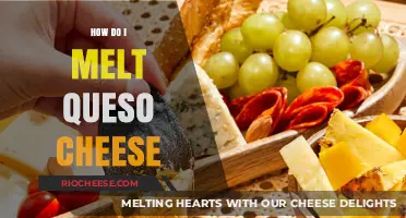 The Art of Melting Queso Cheese: A Step-by-Step Guide