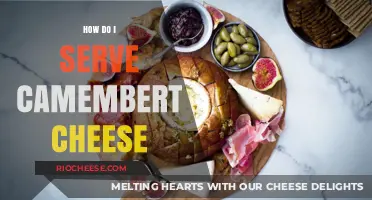 A Guide to Perfectly Serving Camembert Cheese