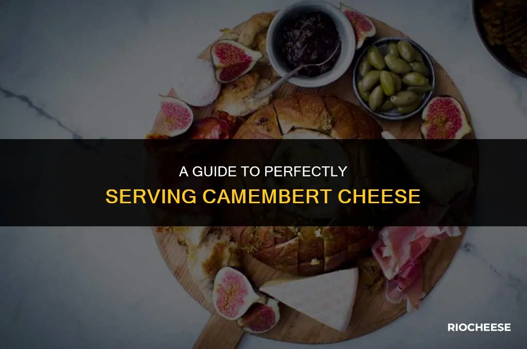 how do i serve camembert cheese