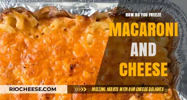 Mastering the Art of Freezing Macaroni and Cheese