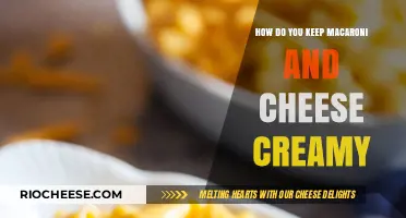 Mastering Creaminess: The Ultimate Macaroni and Cheese Guide