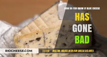 Blue Cheese Blues: Spotting Spoilage in Your Gourmet Delight