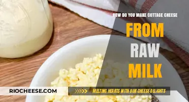 From Farm to Table: The Simple Art of Making Cottage Cheese