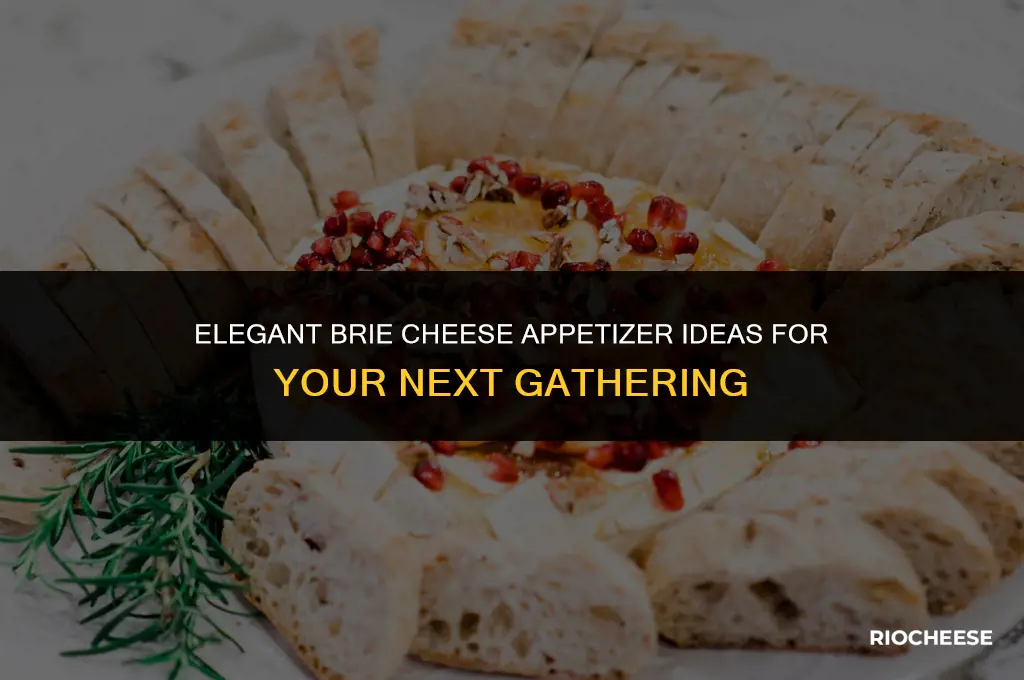 how do you serve brie cheese as an appetizer