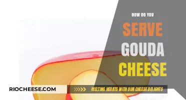 Delicious Gouda: A Guide to Serving the Perfect Slice