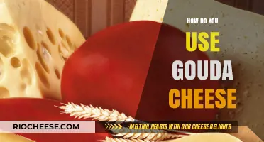 Gouda Cheese: A Versatile Delight for Your Culinary Creations
