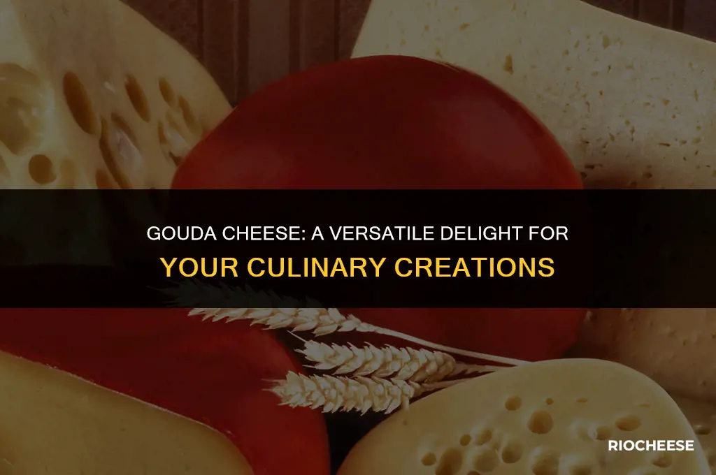 how do you use gouda cheese
