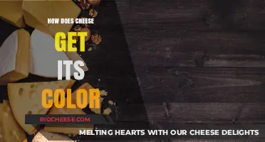The Art of Cheese: Unveiling the Secrets Behind Its Vibrant Hues