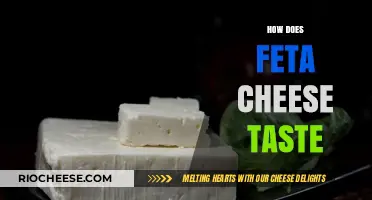 Exploring the Rich and Tangy Flavor Profile of Feta Cheese