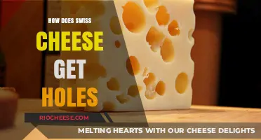 The Mysterious Process: How Swiss Cheese Gets Its Signature Holes