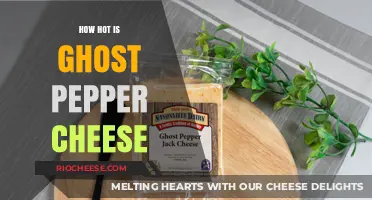 Exploring the Fiery Frontier: Ghost Pepper Cheese Heat Level Revealed