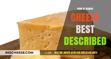 Exploring the Rich Flavor Profile of Asiago Cheese