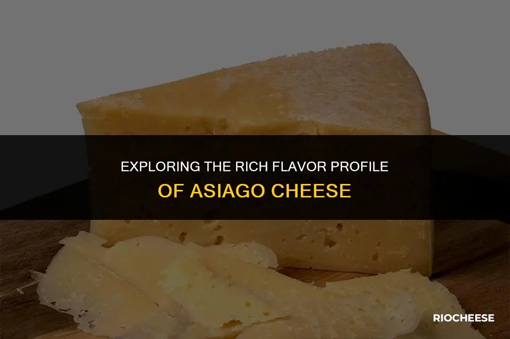 how is asiago cheese best described