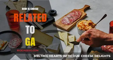 Unraveling the Surprising Connection Between Cheese and GA