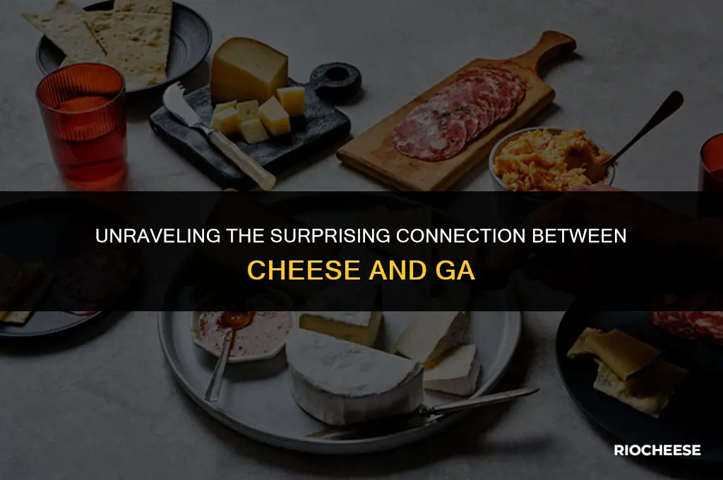 how is cheese related to ga