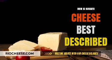 Exploring the Rich Flavor Profile of Havarti Cheese