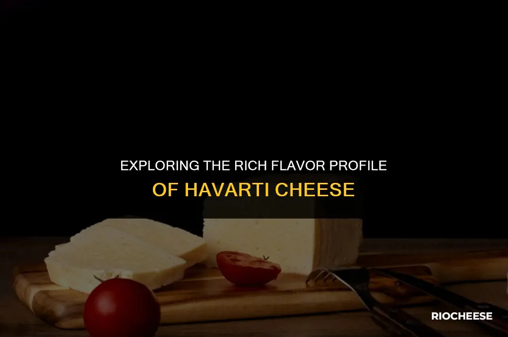 how is havarti cheese best described