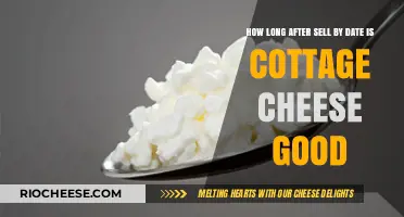 Cottage Cheese Shelf Life: How Long After Sell By Date?