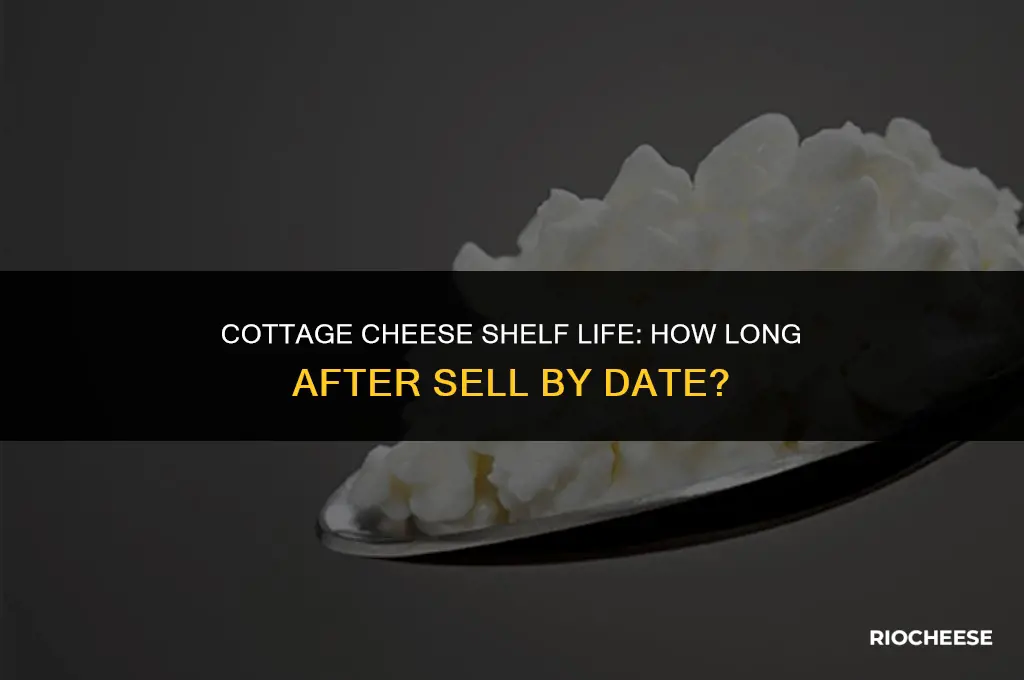 how long after sell by date is cottage cheese good