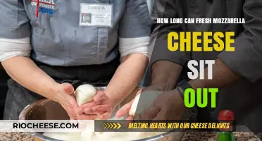 Fresh Mozzarella: Understanding Its Shelf Life and Storage Tips