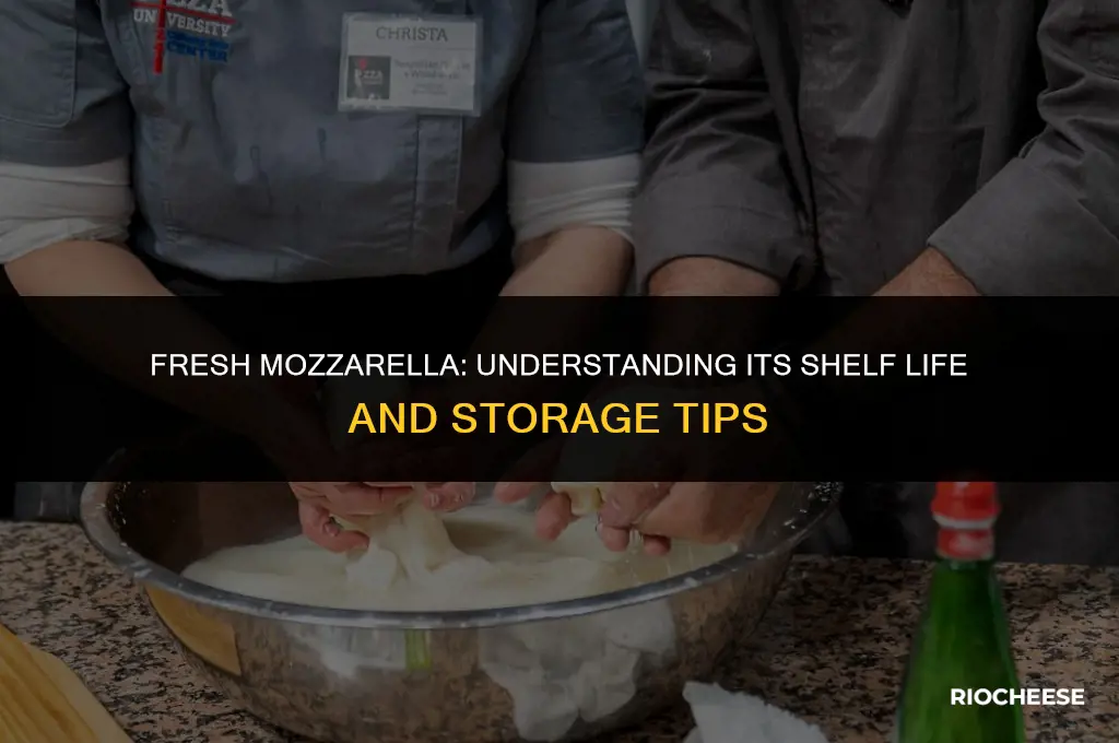how long can fresh mozzarella cheese sit out