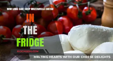 Freshness Countdown: Mozzarella's Shelf Life in Your Fridge