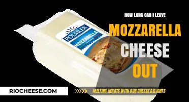 Mozzarella Cheese Storage: How Long Can It Stay Out?