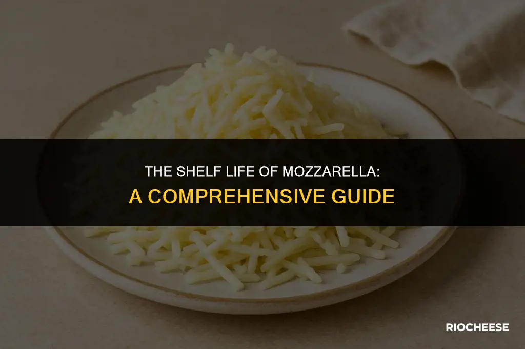 how long can mozzarella cheese last