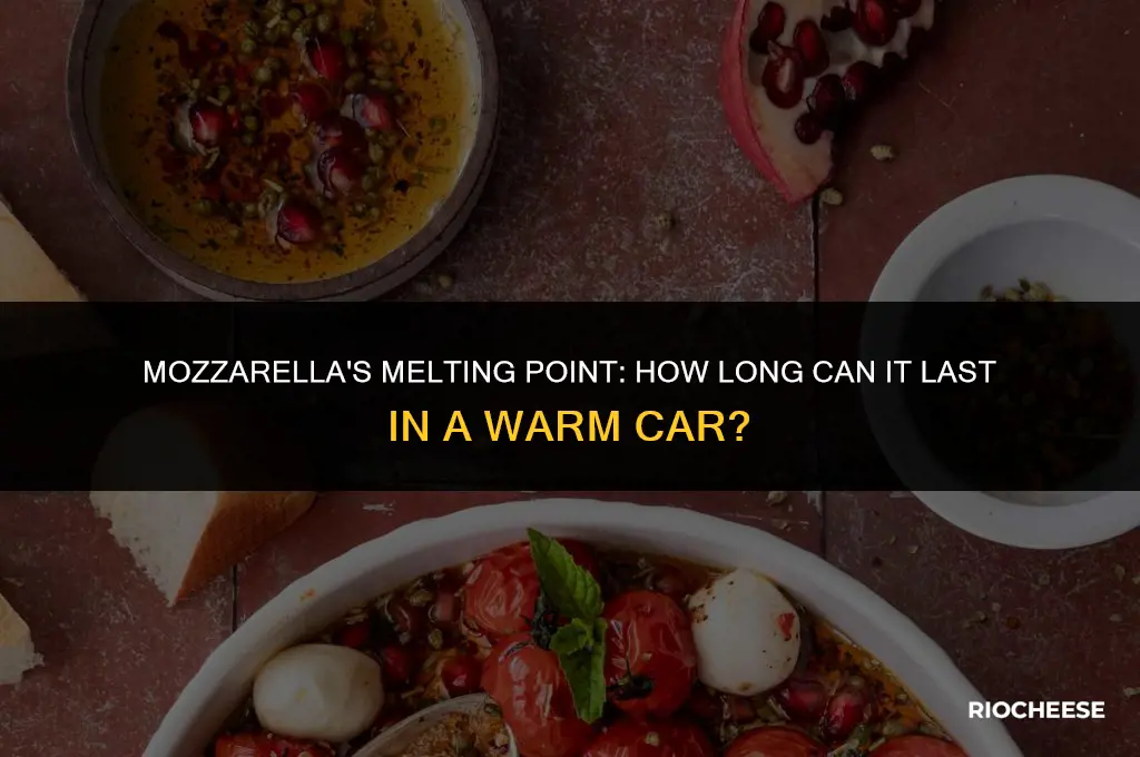 how long can mozzarella cheese sit in warm car