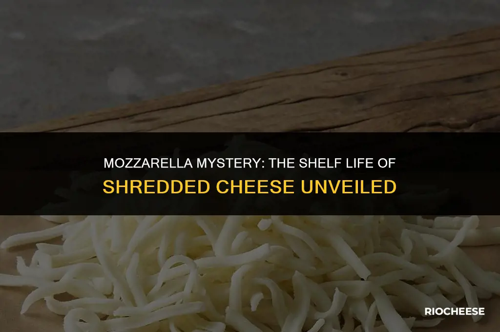 how long can shredded mozzarella cheese sit out