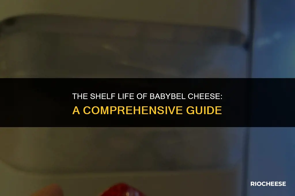 how long do babybel cheese last in the fridge