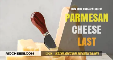 Savoring Flavor: The Shelf Life of Parmesan Cheese Wedge