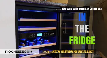 The Shelf Life of American Cheese: A Refrigeration Guide