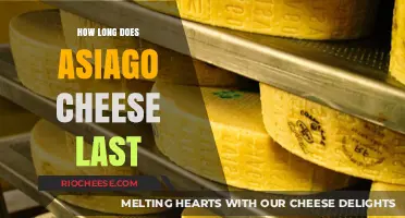 The Shelf Life of Asiago Cheese: A Comprehensive Guide