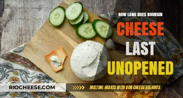 The Shelf Life of Unopened Boursin Cheese: A Comprehensive Guide