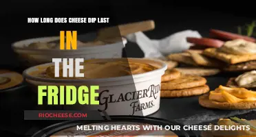 The Shelf Life of Cheese Dip: A Comprehensive Guide