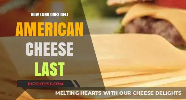 Shelf Life of Deli American Cheese: A Comprehensive Guide