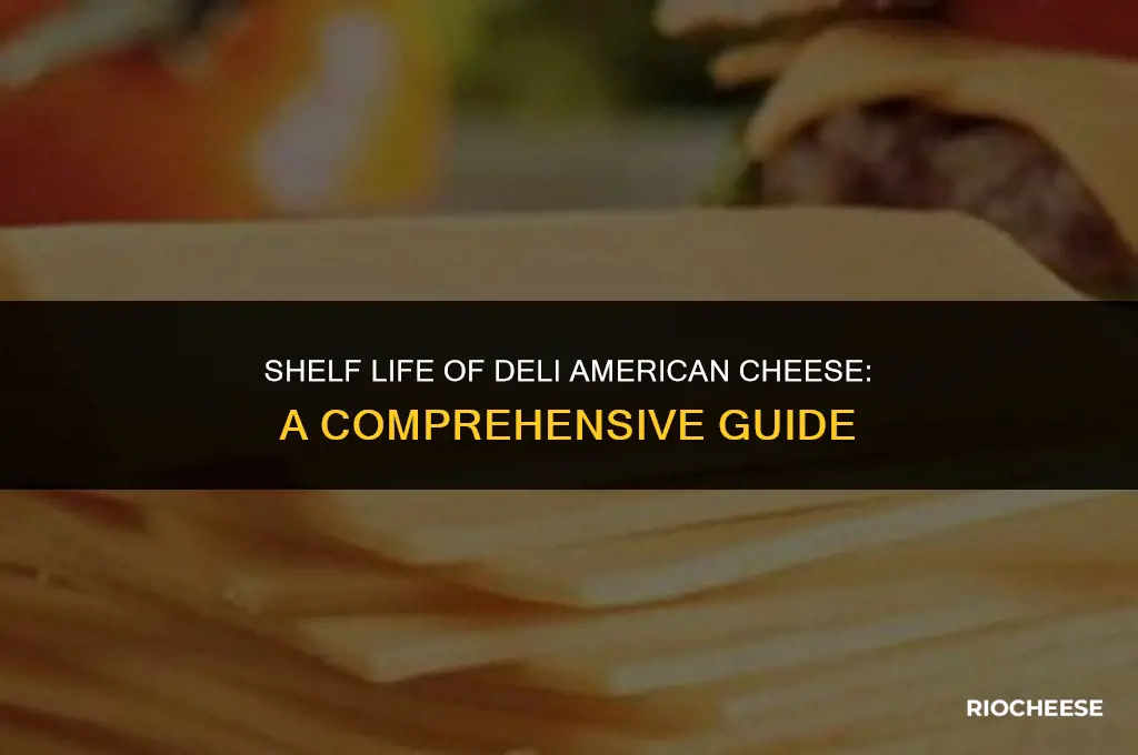 how long does deli american cheese last