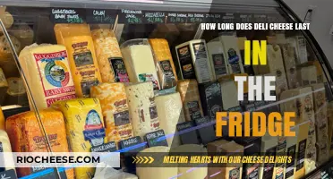 The Shelf Life of Deli Cheese: A Comprehensive Guide