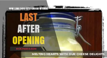 Maximizing Freshness: The Shelf Life of Feta Cheese in Brine Post-Opening