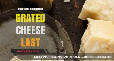 Savoring Freshness: The Shelf Life of Grated Cheese Explained
