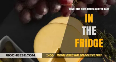 The Shelf Life of Gouda: A Cheese Lover's Guide