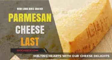 Savoring Flavor: The Shelf Life of Grated Parmesan Cheese