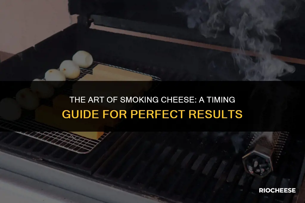 how long does it take to smoke cheese