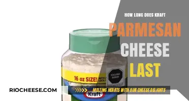 Savoring Flavor: The Shelf Life of Kraft Parmesan Cheese