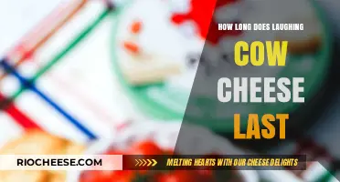 The Shelf Life of Laughing Cow Cheese: A Comprehensive Guide