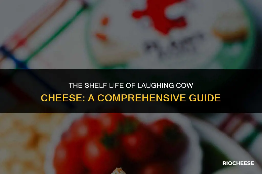 how long does laughing cow cheese last